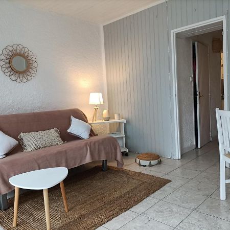 Charmant Appartement Bord De Mer Argeles-sur-Mer Bagian luar foto