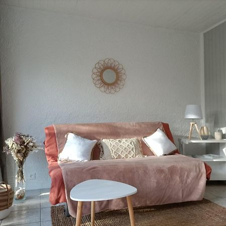 Charmant Appartement Bord De Mer Argeles-sur-Mer Bagian luar foto